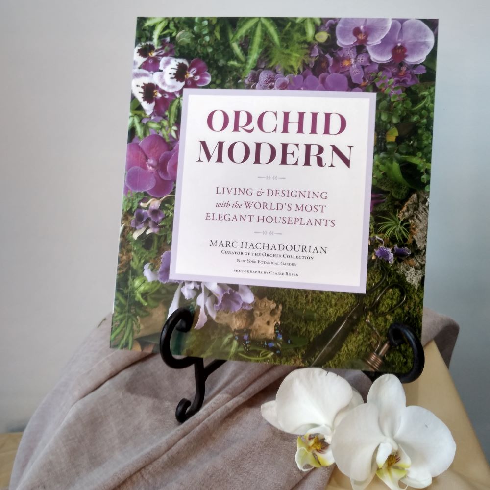 Book Modern Orchid